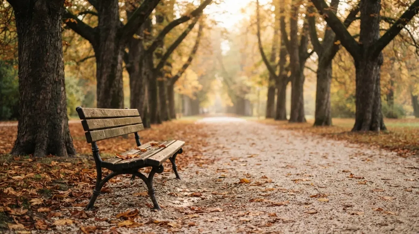 Eine Parkallee mit Kastanienbäumen und einer leeren Bank, Herbstlaub bedeckt den Kiesweg.