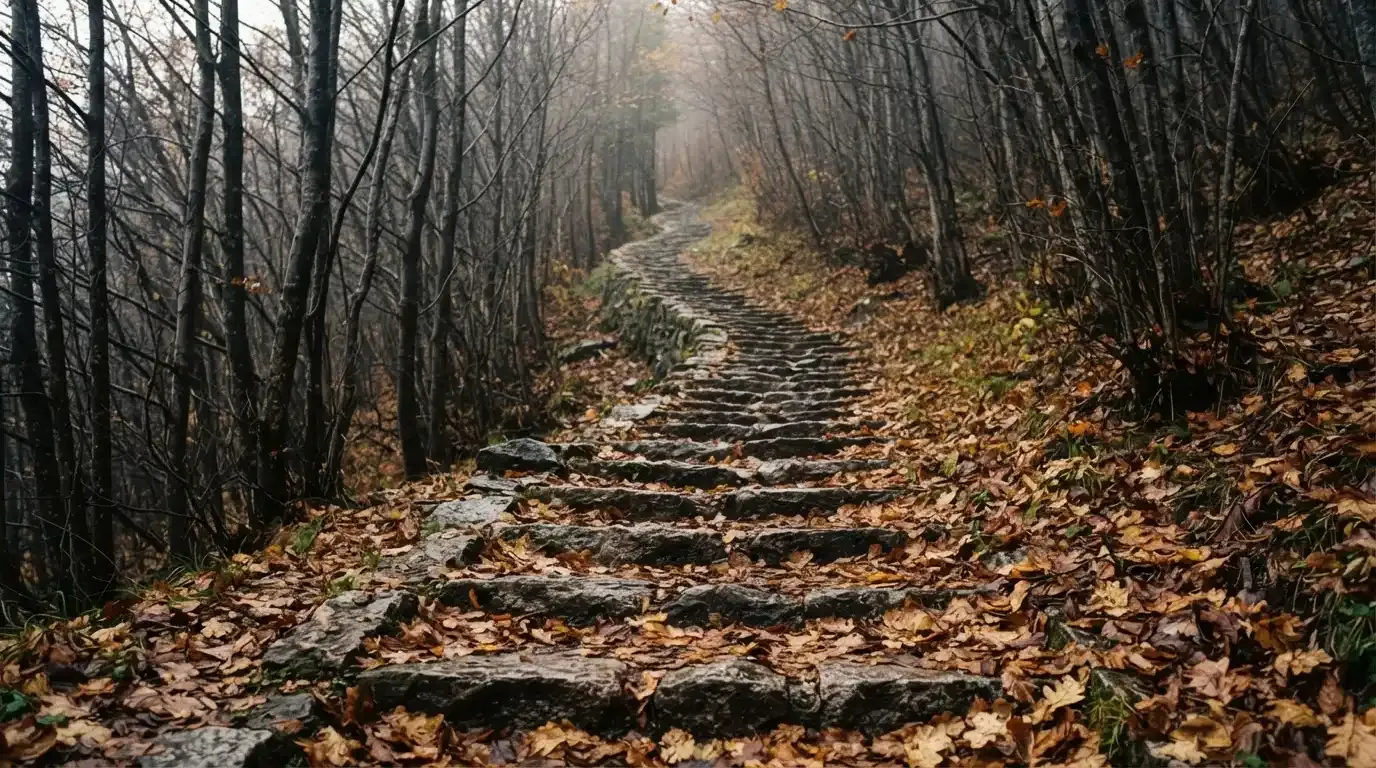 Eine Steintreppe führt einen Hügel hinauf, die Stufen sind mit Herbstlaub bedeckt und seitlich stehen kahle Bäume.
