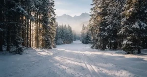 Online Biathlon Wetten Schweiz 2026: Anbieter, Regeln und Quoten