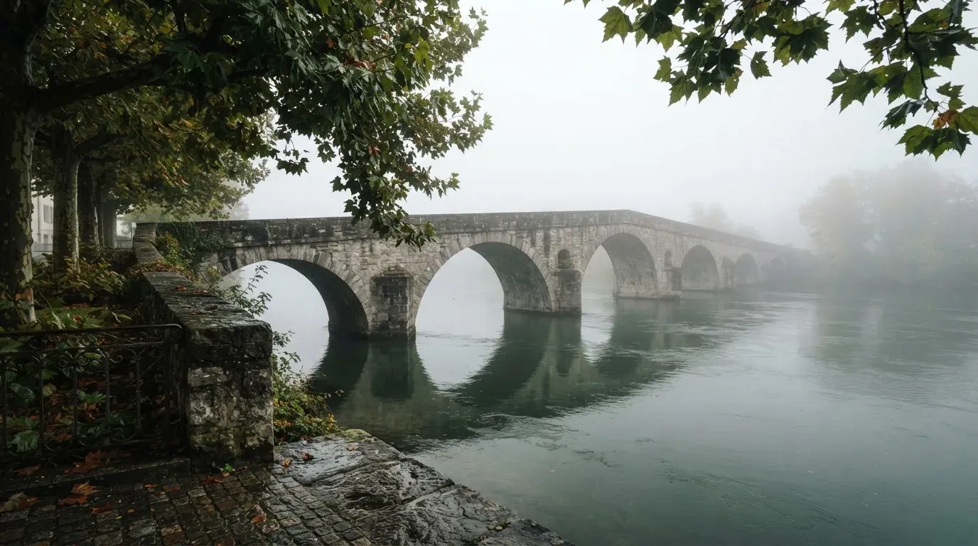 Ein breiter Fluss fliesst unter einer Steinbrücke im Nebel, am Ufer stehen Platanen mit nassen Blättern.