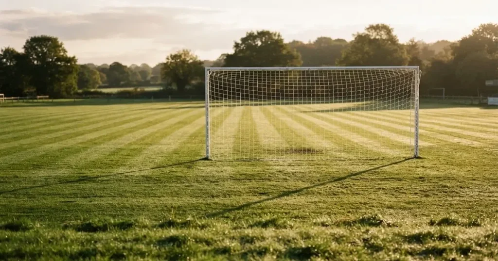 Ein Fussballtor mit weissem Netz steht auf frisch gemähtem Rasen, die hellen und dunklen Streifen im Gras leuchten im Gegenlicht.