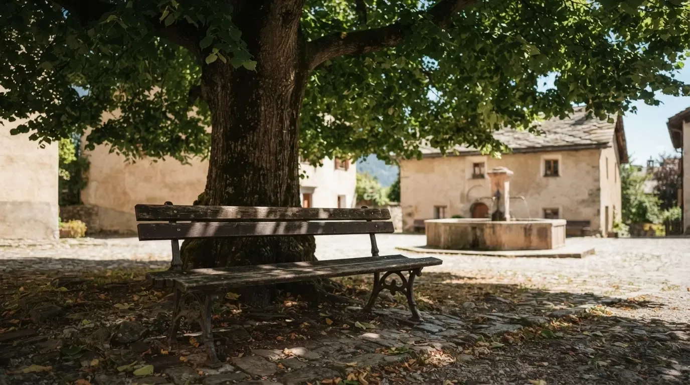 Eine leere Bank steht unter einer alten Linde auf einem Dorfplatz im Schatten.