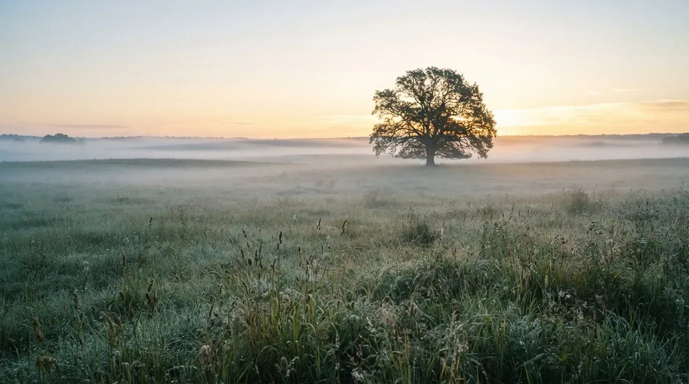 Eine Wiese mit Bodennebel am frühen Morgen, in der Ferne ein einzelner Baum vor hellem Horizont.